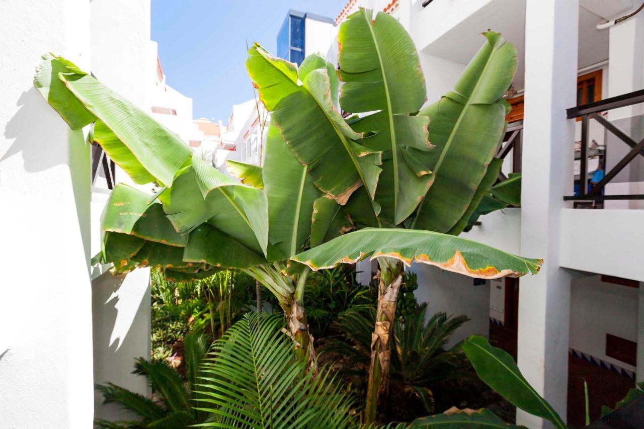 Estudio 1 Sara En Playa De Las America - Sara Vacation Costa Adeje  Exterior foto